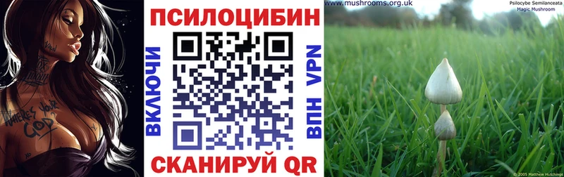 Купить где  Новотроицк  Псилоцибиновые грибы Cubensis 