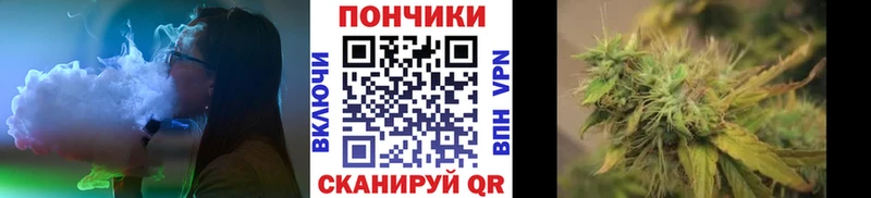 Купить где  Новотроицк  Шишки марихуана SATIVA & INDICA 